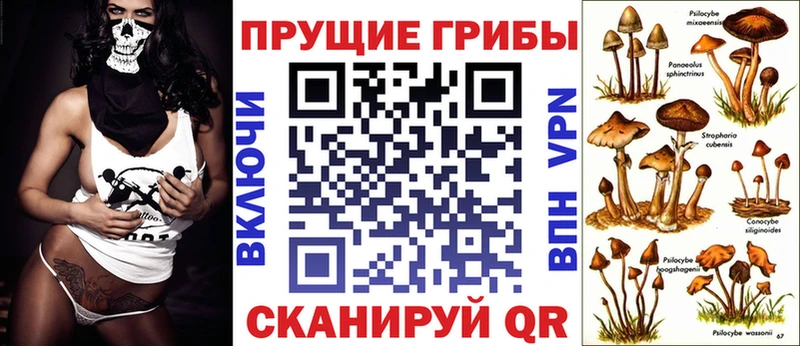 Галлюциногенные грибы мицелий  что такое   Усть-Кут 